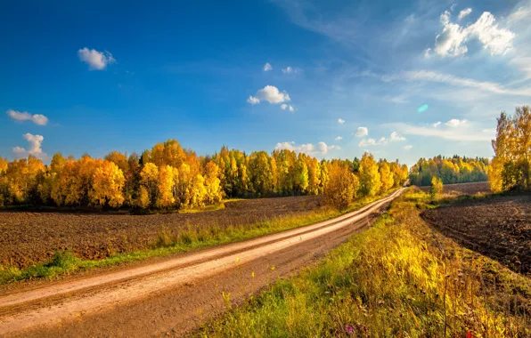 Road, field, autumn, landscape, nature
