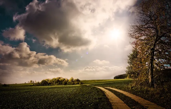 Road, greens, the sky, the sun, clouds, trees, nature