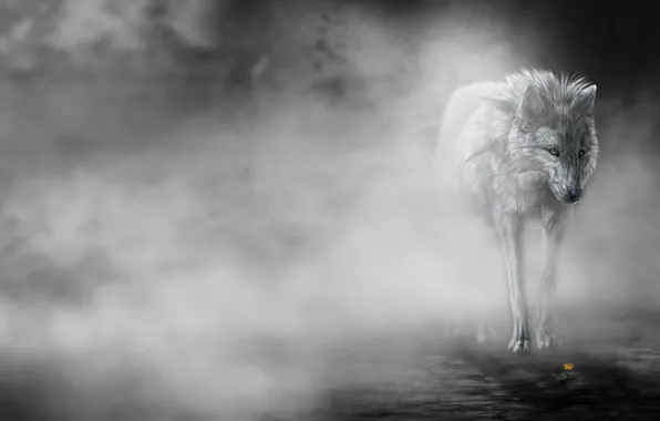 Flower, fog, Wolf, art, wolfroad, the fog