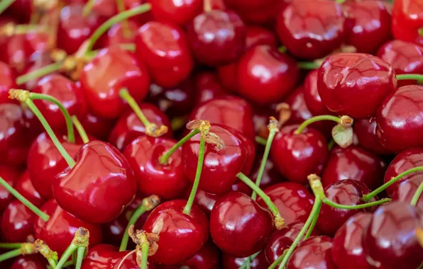 Berry, Cherry, ripe
