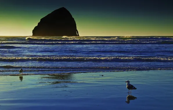 Picture sea, beach, rock, shore, seagulls