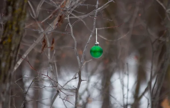 Holiday, toy, branch