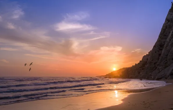Sand, Sea, Rocks, Wave, Birds, Shore, Seagulls, Shine