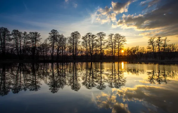 Picture trees, sunset, lake, reflection, Poland, Poland, Silesia