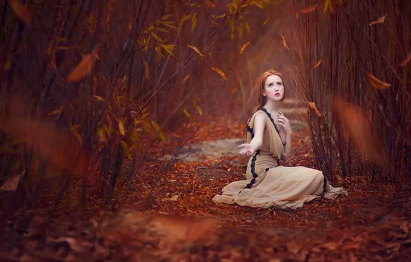 Picture autumn, leaves, the red-haired girl