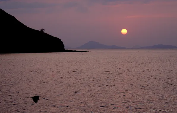 Picture sea, the sun, sunset, mountains
