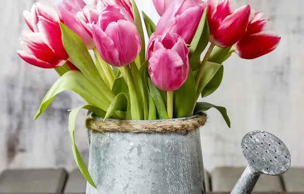 Tulips, lake, flowers, tulips, spring