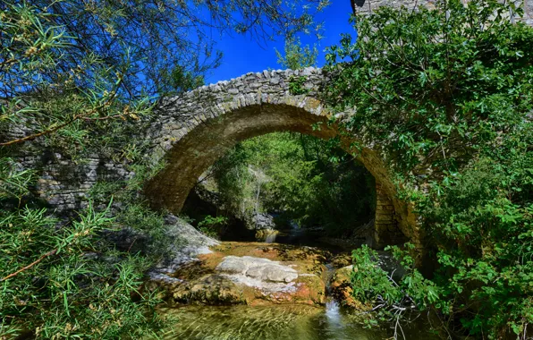Picture trees, branches, bridge, stream, stones, France, the bushes, stone