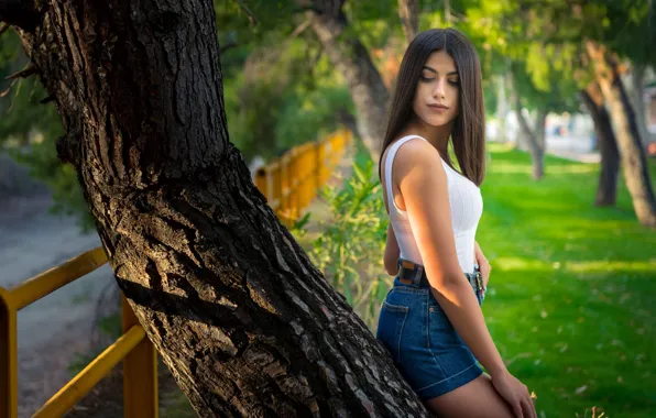 Picture greens, the sun, trees, pose, Park, model, shorts, makeup