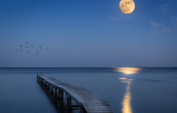 Picture sea, night, bridge, the moon