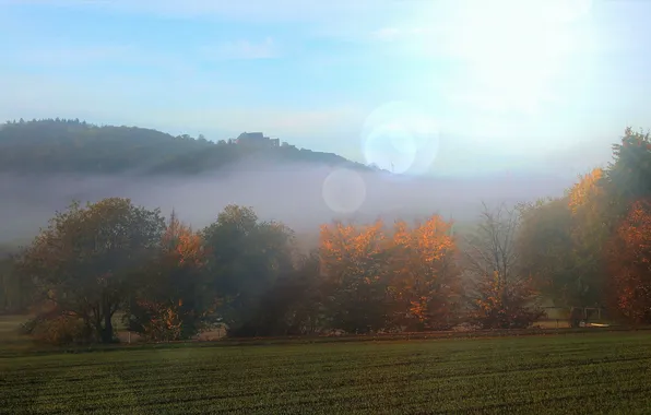 Field, autumn, forest, the sun, rays, light, trees, mountains