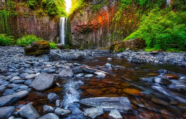 Greens, forest, trees, rock, stream, stones, waterfall, USA