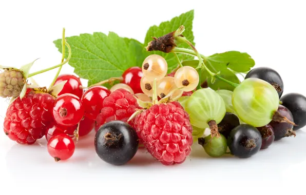Picture berries, raspberry, gooseberry, red currant, black currant, white currants