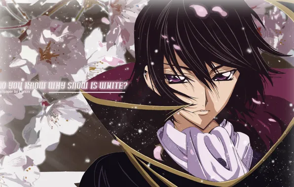 Petals, Sakura, scarf, art, code geass, code geass, takahiro himura, lelouche lamperouge