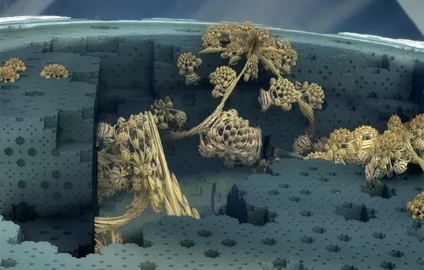 Picture background, form, fractal