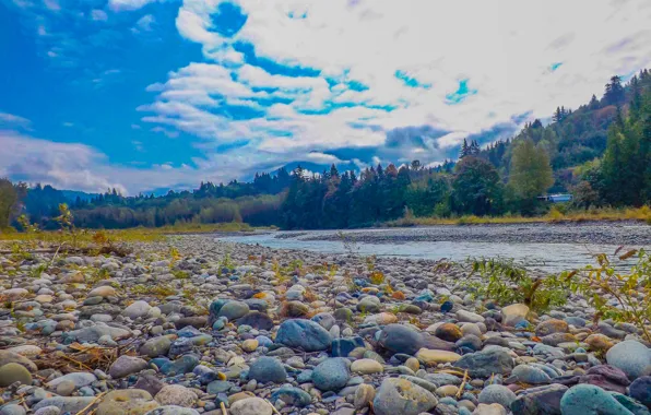 The sky, trees, mountains, river, stones