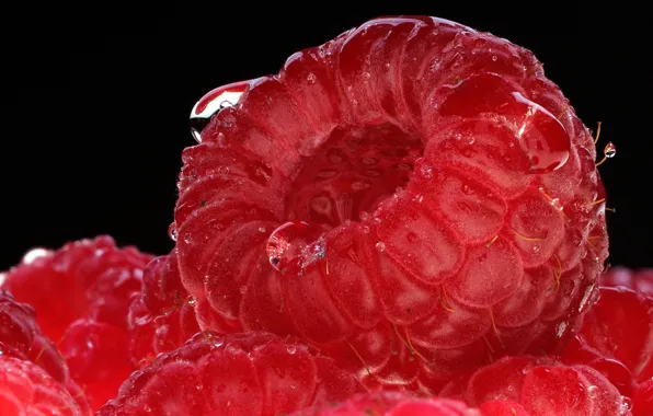 Picture background, Raspberry, berry-raspberry