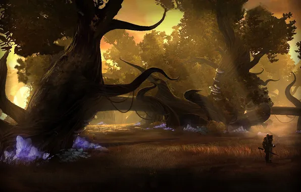 Forest, trees, branches, weapons, people, crystals, Star Wars The Old Republic