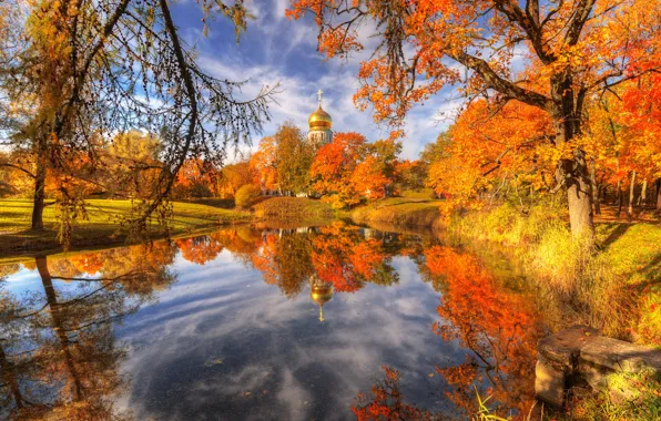 Picture autumn, landscape, branches, nature, the city, pond, Park, reflection