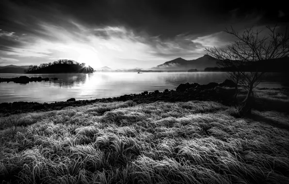 Picture fog, lake, morning, Japan, Fukushima, Frosty morning, b & W photo, Hibara