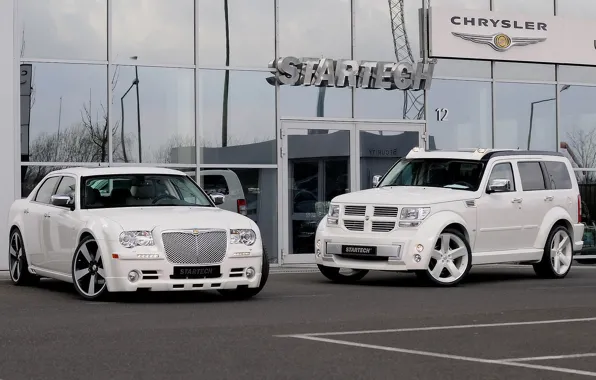Auto, The city, Playground, Chrysler 300s, Dodge.