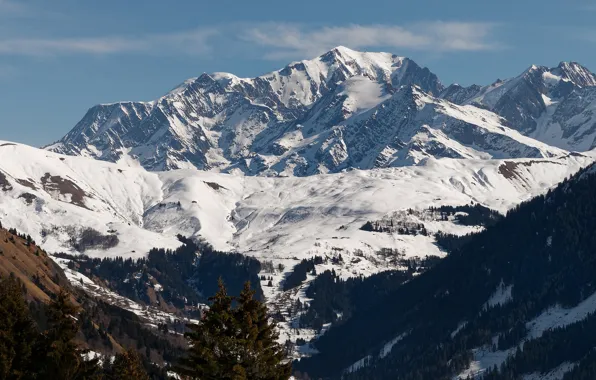 Picture winter, forest, the sun, snow, trees, mountains, rocks, the view from the top