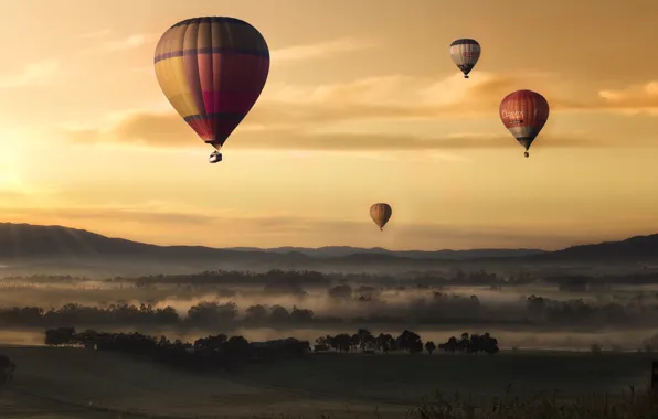 Field, trees, landscape, balloons