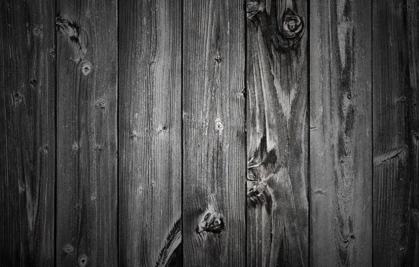 Picture grey, the fence, wooden