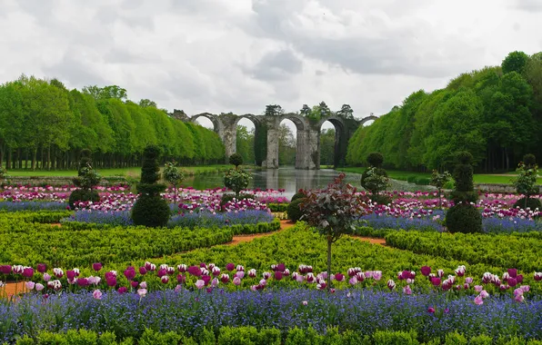 Flowers, Park, France, tulips, the aqueduct of Maintenon
