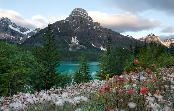 The sky, clouds, flowers, mountains, lake, canada, alberta, banff national park