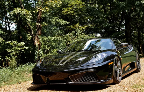 Road, trees, reflection, black, ferrari, Ferrari, black, front view