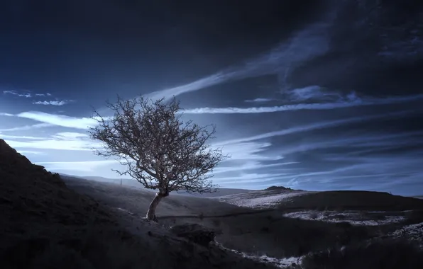 The sky, trees, mountains, color