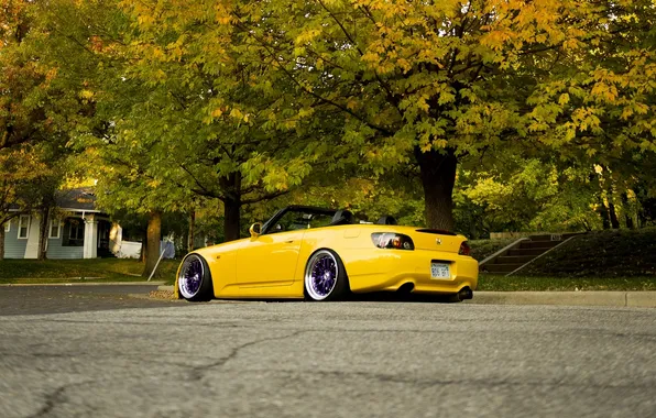 Autumn, leaves, convertible, honda, jdm, yellow, s2000, srtance nation