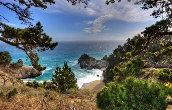 Sea, forest, beach, spruce, CA, forest, beach, pine