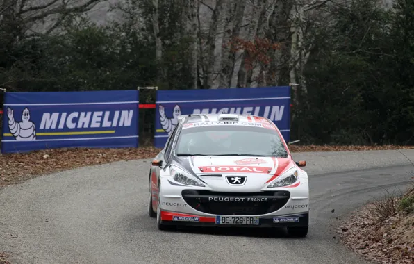 Picture Peugeot, Peugeot, Rally, Rally, Monte Carlo, IRC, 207, Bryan Bouffier