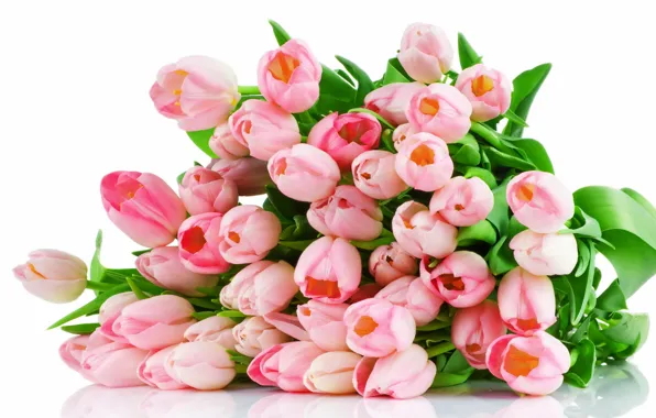Flowers, bouquet, tulips, pink, pink, tulips