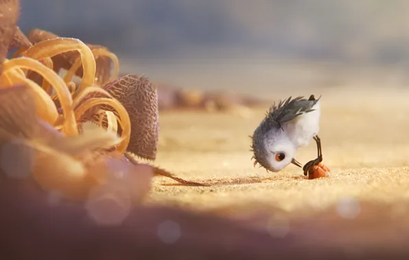 Kawaii, cinema, animation, Disney, Pixar, beach, sea, bird