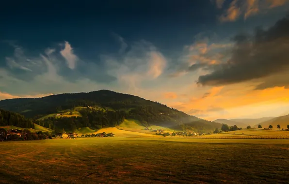 Field, forest, mountains, nature