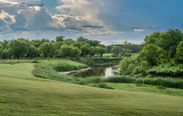 Picture beauty, channel, trees, landscape, nature