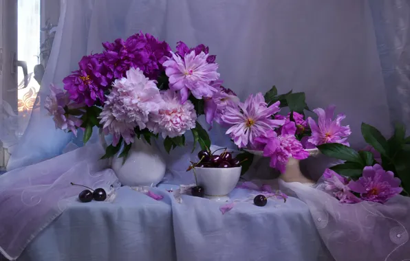 Flowers, berries, window, vase, pitcher, still life, curtain, cherry