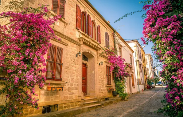 Flowers, street, the building, Turkey