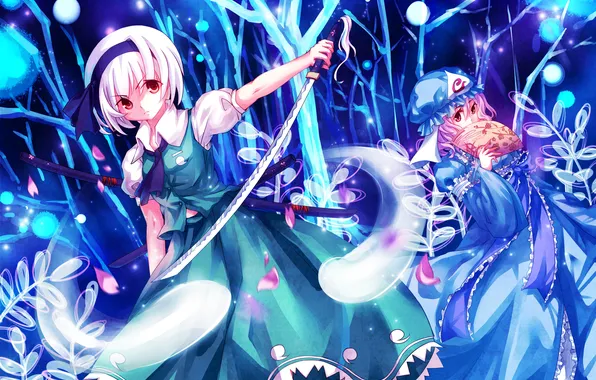 Picture look, weapons, girls, magic, anger, sword, fan, touhou