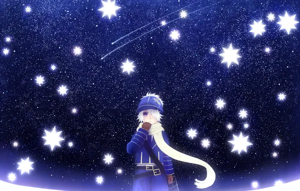 The sky, stars, night, anime, boy, art, bounin, bee mail