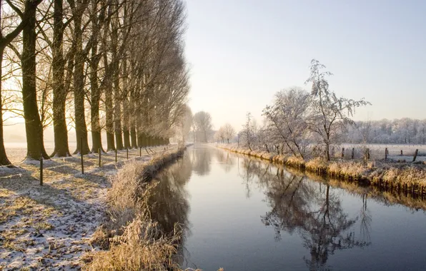Winter, trees, nature, river, alley
