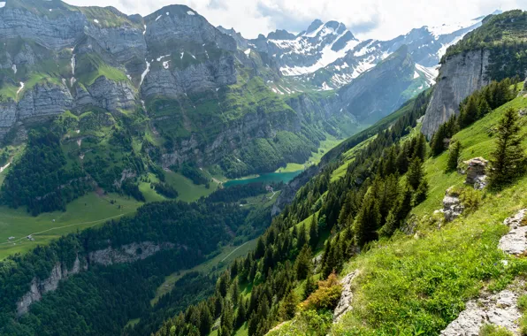 Picture forest, landscape, mountains, nature, lake, Switzerland, Alps, Sealeze