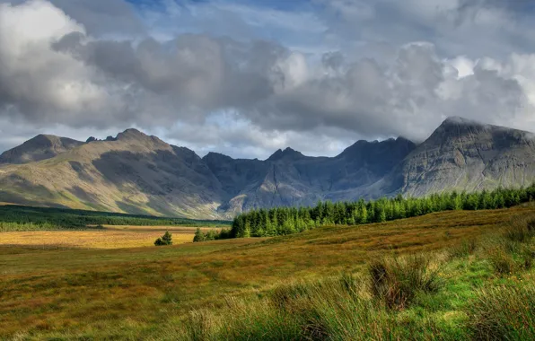 The sky, grass, clouds, trees, mountains, slope, Scotland