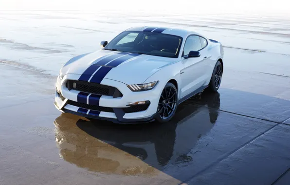 Shelby, 350, 2015