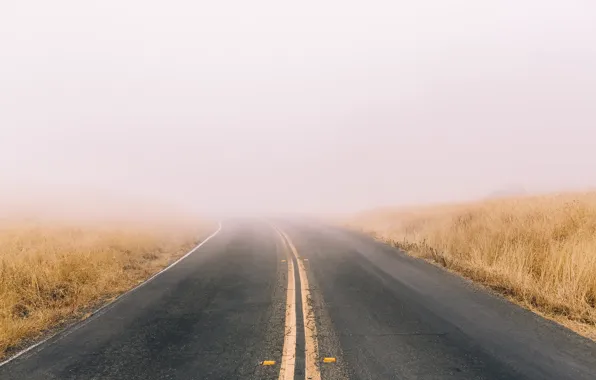 Picture road, nature, fog