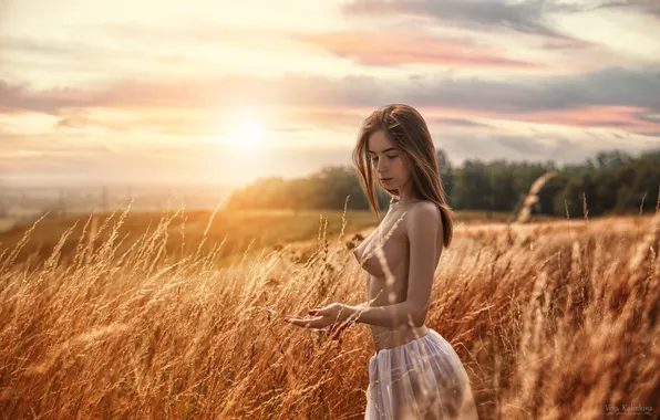 Chest, grass, the sun, landscape, sexy, pose, model, body