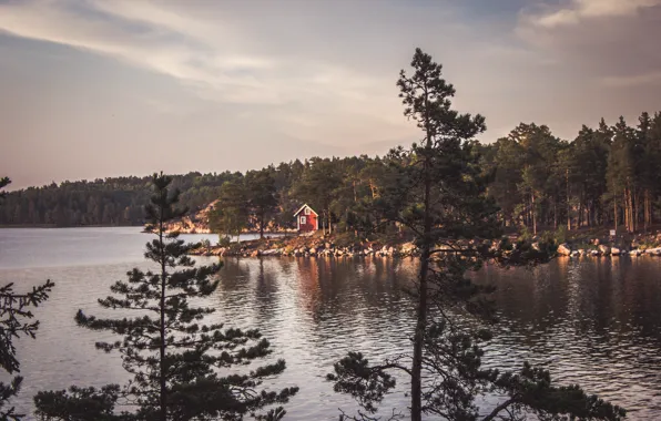 House, Nature, Clouds, Wood, Water, Wild, Sea, Trees